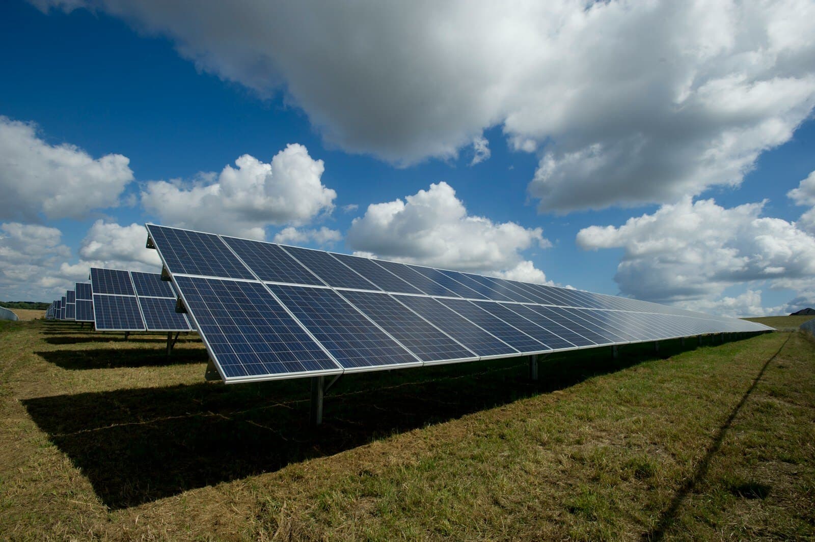 Rows of solar panels in a field under a blue sky