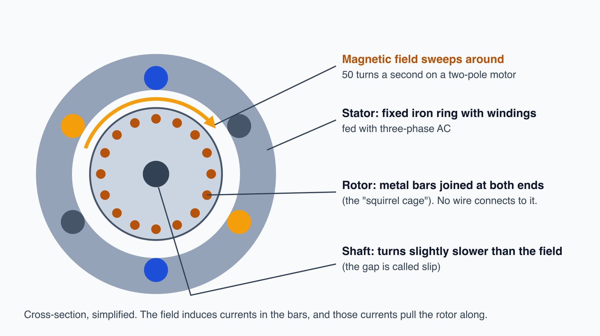 Cross-section of an induction motor showing the stator ring with windings, the rotating magnetic field, the squirrel-cage rotor bars and the shaft