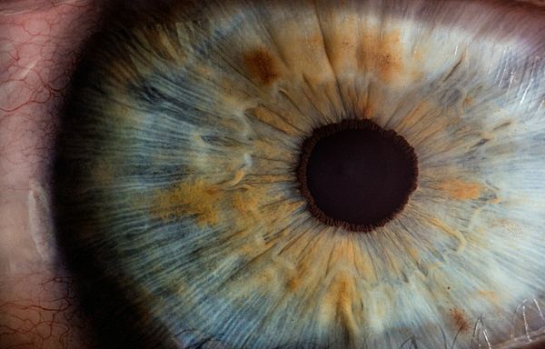 Extreme close-up of a human eye and iris